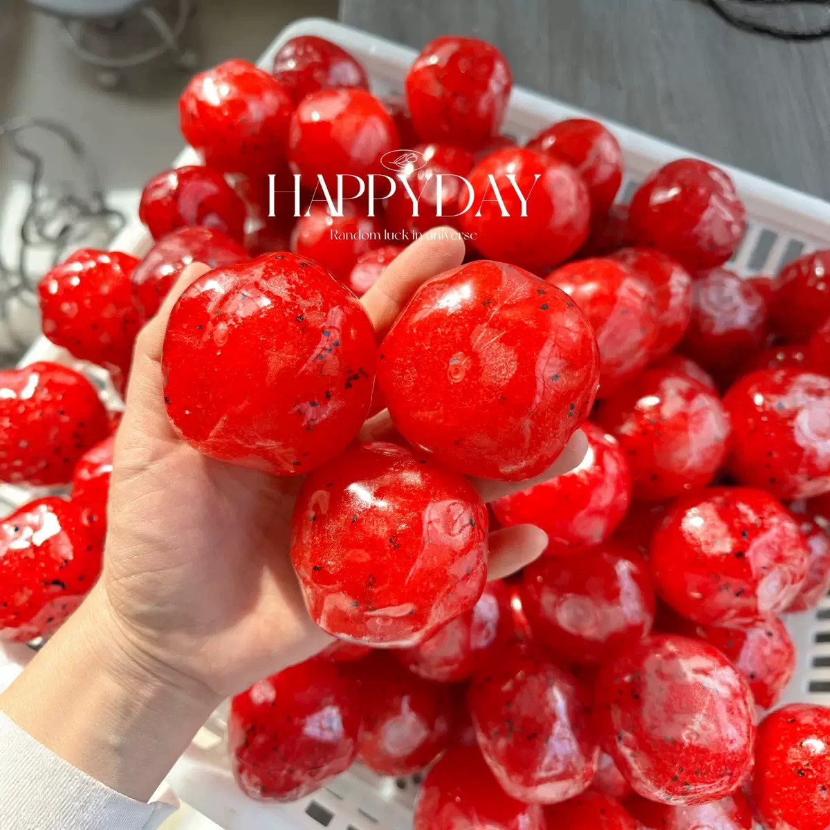 Mainan Squishy Semangka Buatan - Novelty Gifts ulasan dan harga